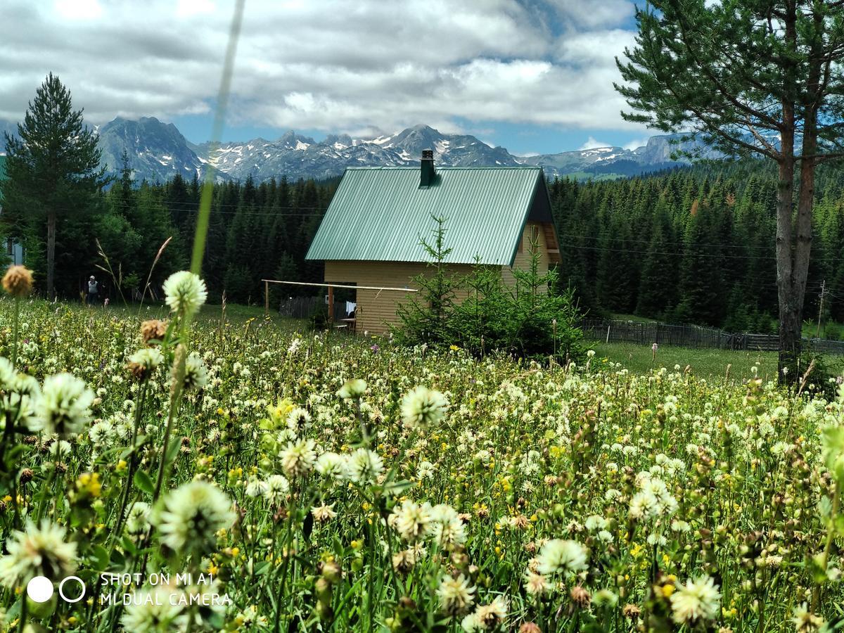 Eco House Βίλα Žabljak Εξωτερικό φωτογραφία